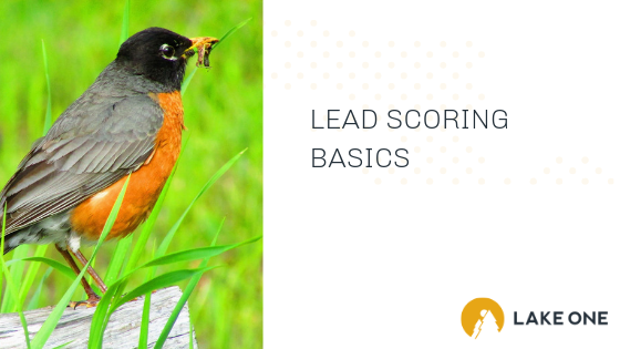 Lead Scoring Basics