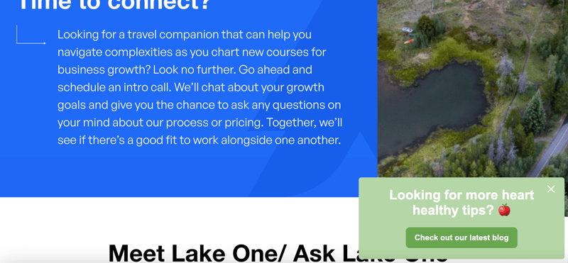 Screenshot of a website pop up