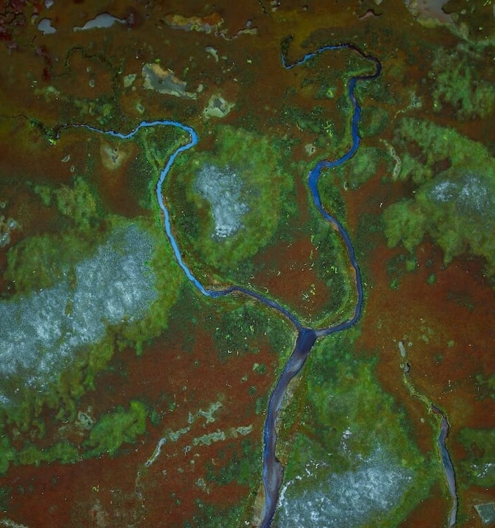 joshua-earle-L877TMfUnhw-unsplash 2-1