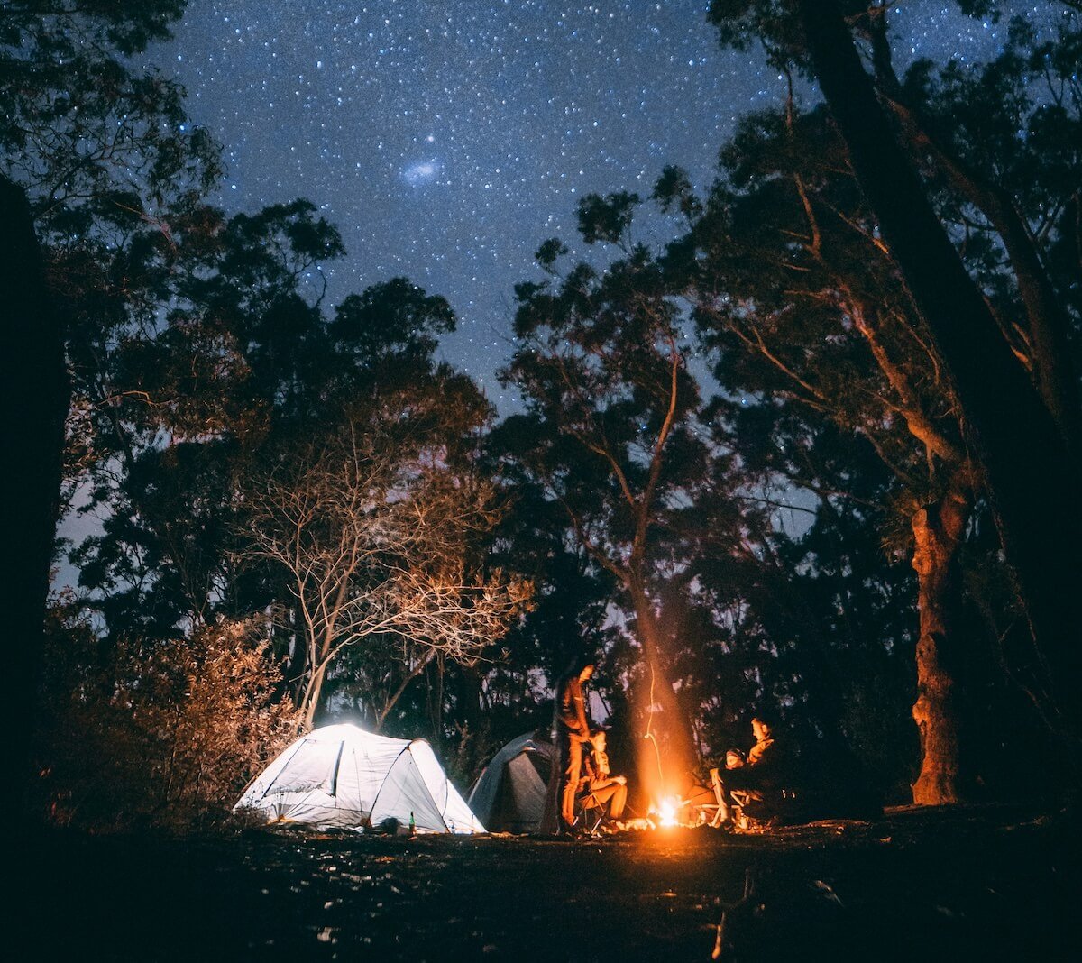 jonathan-forage-1azAjl8FTnU-unsplash 2